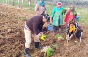 News 1 SELMA Attivita di trapianto al Centro di Formazione di Chebedda dicembre 2020 1
