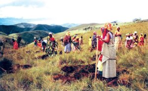 News 5 pu Quaresima in Africa 01