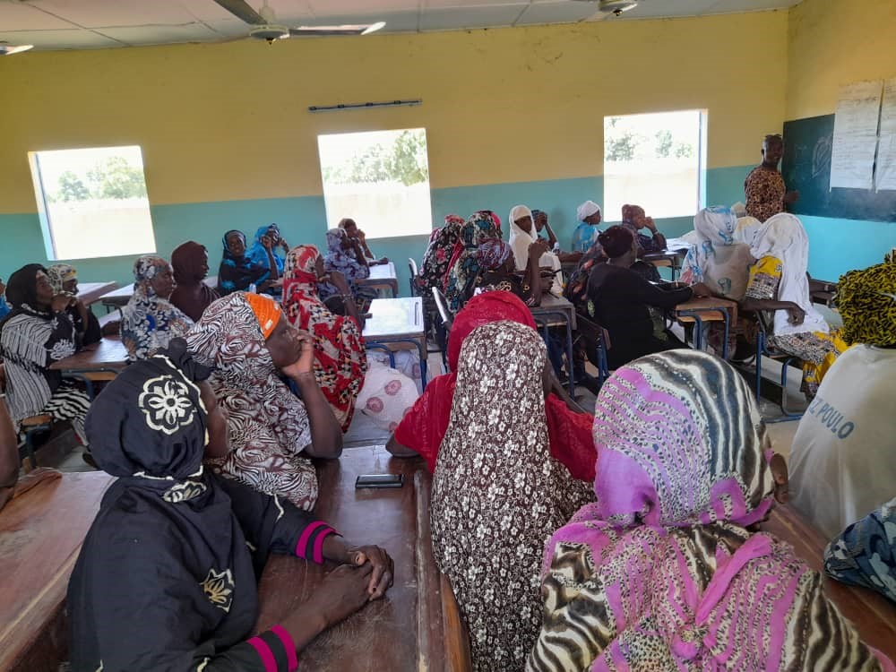 Mali, progetto SEmInA: al via la formazione per il micro-credito 7 formazione a Kati 2