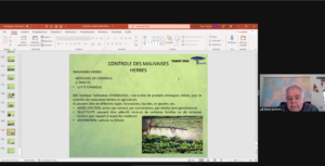 News 3 fotopieroII