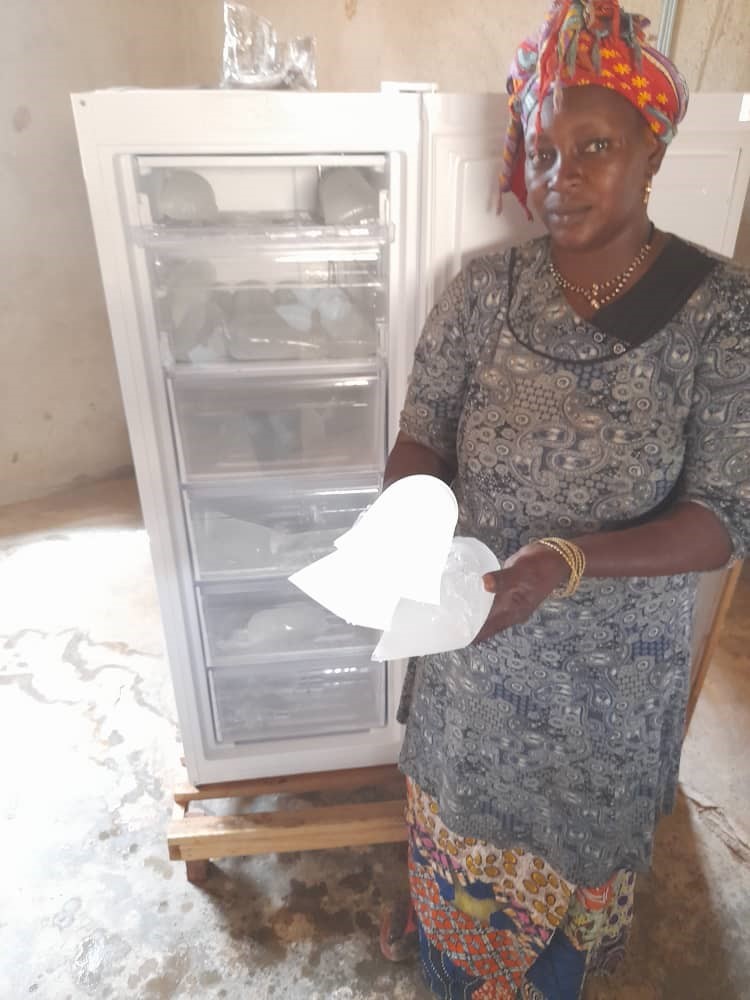 Semina in Mali: arrivano i macchinari per la lavorazione dei prodotti agricoli in tre villaggi 3 frigo funzionante beneficiaria vill.foni . 1