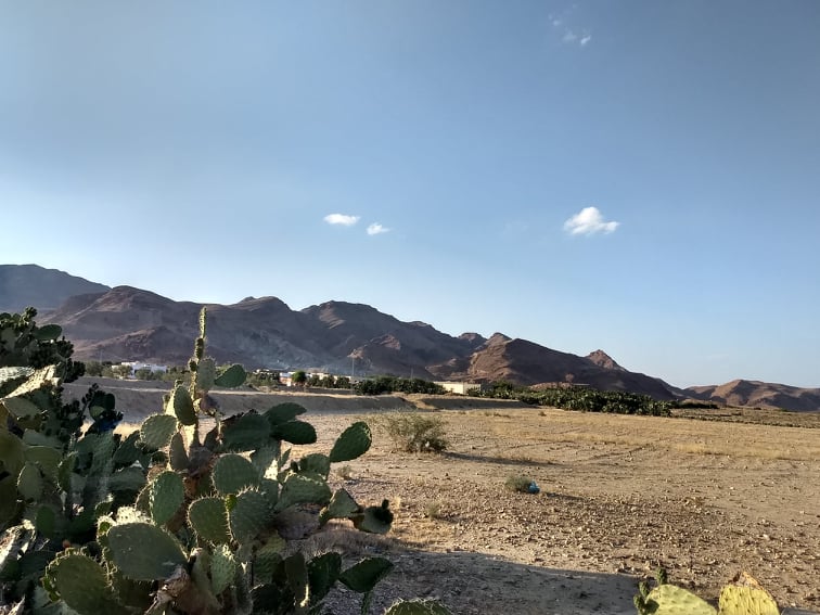 “Berberina in Tunisia – AID 11421”: conclusa la prima fase per la selezione dei 50 beneficiari 4 Foto 9 2