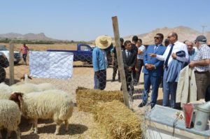 “BERBERINA IN TUNISIA”, INAUGURATO IL PROGETTO DI TAMAT COFINANZIATO DA AICS 1 inaug berb 23