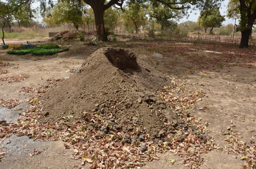 Centro Na Tilge: la visita del direttore di Tamat 5 compost centro na tilge