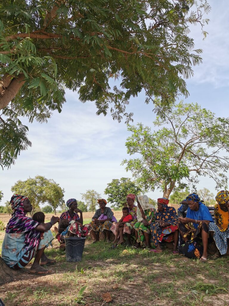 "Bara Ni Yiriwa - lavoro e sviluppo in Mali": visite di monitoraggio sul campo 6 BARA NI YIRIWA monitoraggio villagi 6