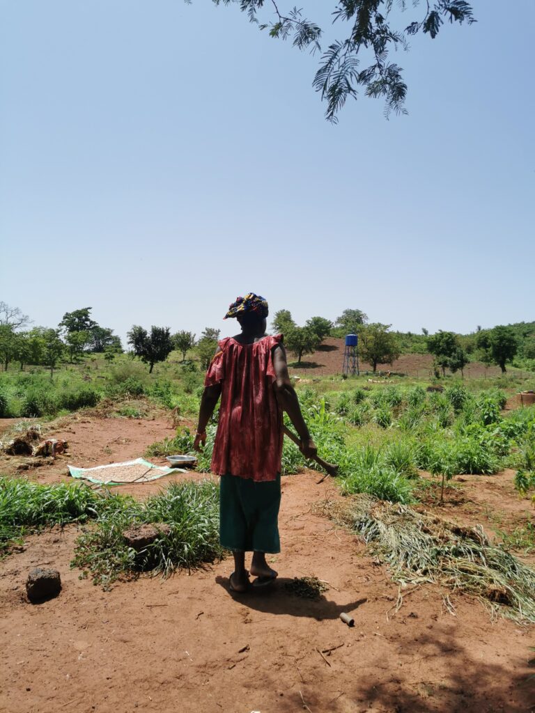 "Bara Ni Yiriwa - lavoro e sviluppo in Mali": visite di monitoraggio sul campo 7 BARA NI YIRIWA monitoraggio villagi 7