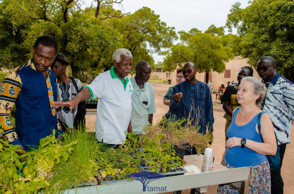Un kit agricolo per supportare gli agricoltori di Loumbila, Burkina Faso 4 covid bf visita del semenzaio del Centro Na Tilge