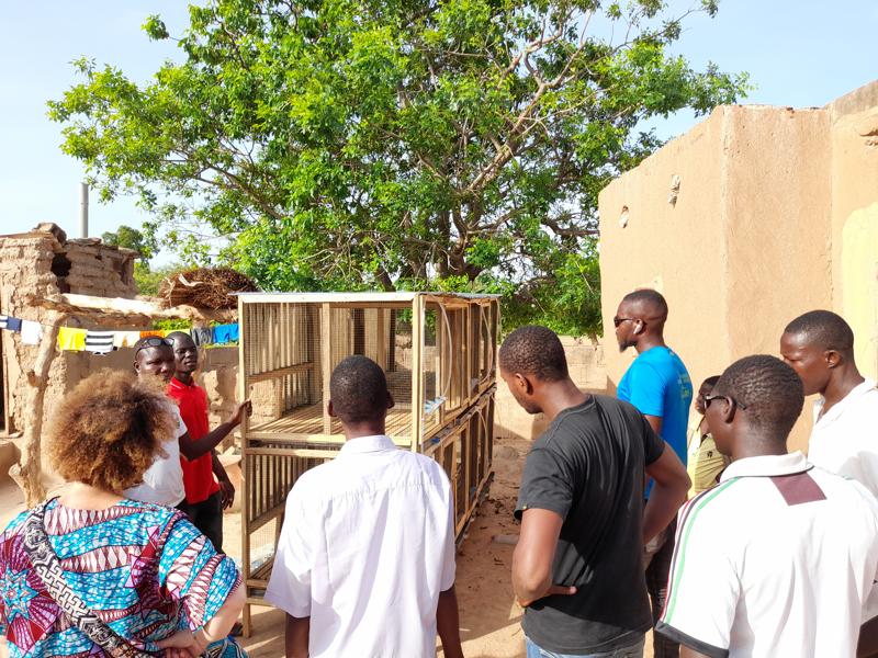 Il DSA3 dell'Università degli Studi di Perugia in Burkina Faso per un progetto sui conigli  8 210702 Burkina Faso LAPIN Allevamenti 04