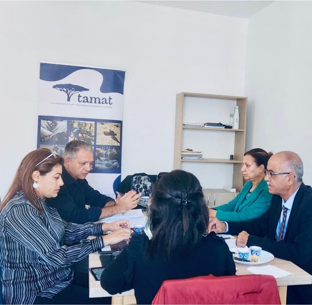 Tamat 12 Former Tunisia 2024 1 1
