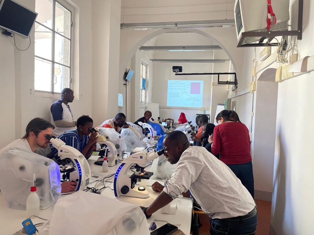 Formazione su sistemi di allevamento e integrazione della filiera 1 Laboratorio Soamba Dsa3