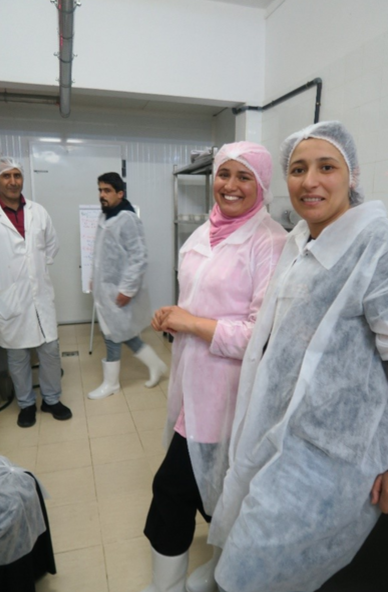 Giovani rurali e occupabilità in Tunisia: il ruolo della formazione tecnica nell’inserimento professionale 4 Screenshot 2026 09 14 113033